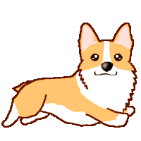 Corgi Running