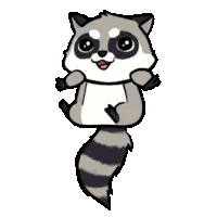 Cute Baby Racoon