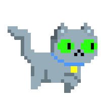 Cute Gray Cat
