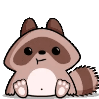 Cute Raccoon