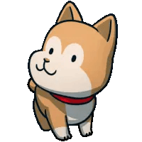Cute Shiba Inu Dog