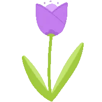 Cute Tulip Flower