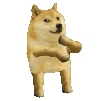 Doge Dance Meme