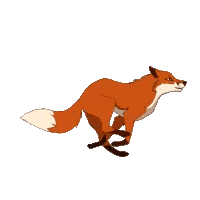 Fox Running