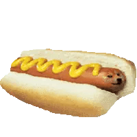 Hot Doge Meme