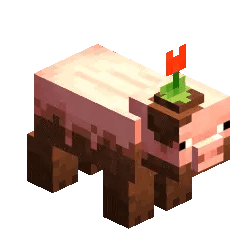 Minecraft Muddy Pig