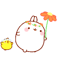 Molang Summer Mood
