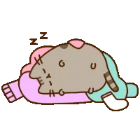 Pusheen Good Night