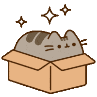 Pusheen in a Box