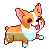 Swimming Corgi Dog