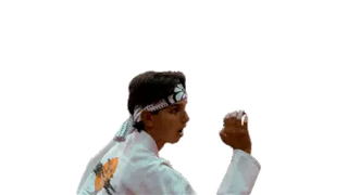The Karate Kid Daniel Ralph Macchio