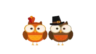 Thanksgiving Pilgrim and Indian Owls