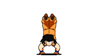 Dragon Ball Goku Training