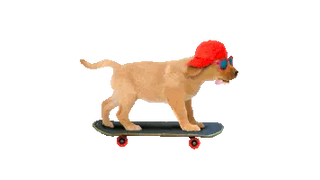 Skateboarding Puppy